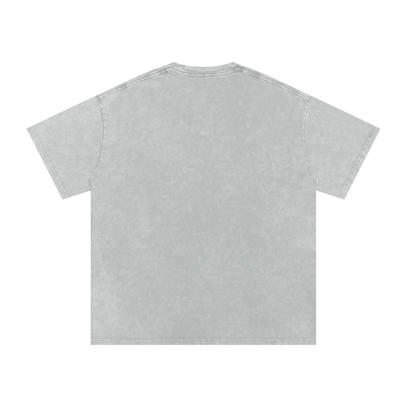 Noles preppy Snow Washed Oversized Cotton T-Shirt
