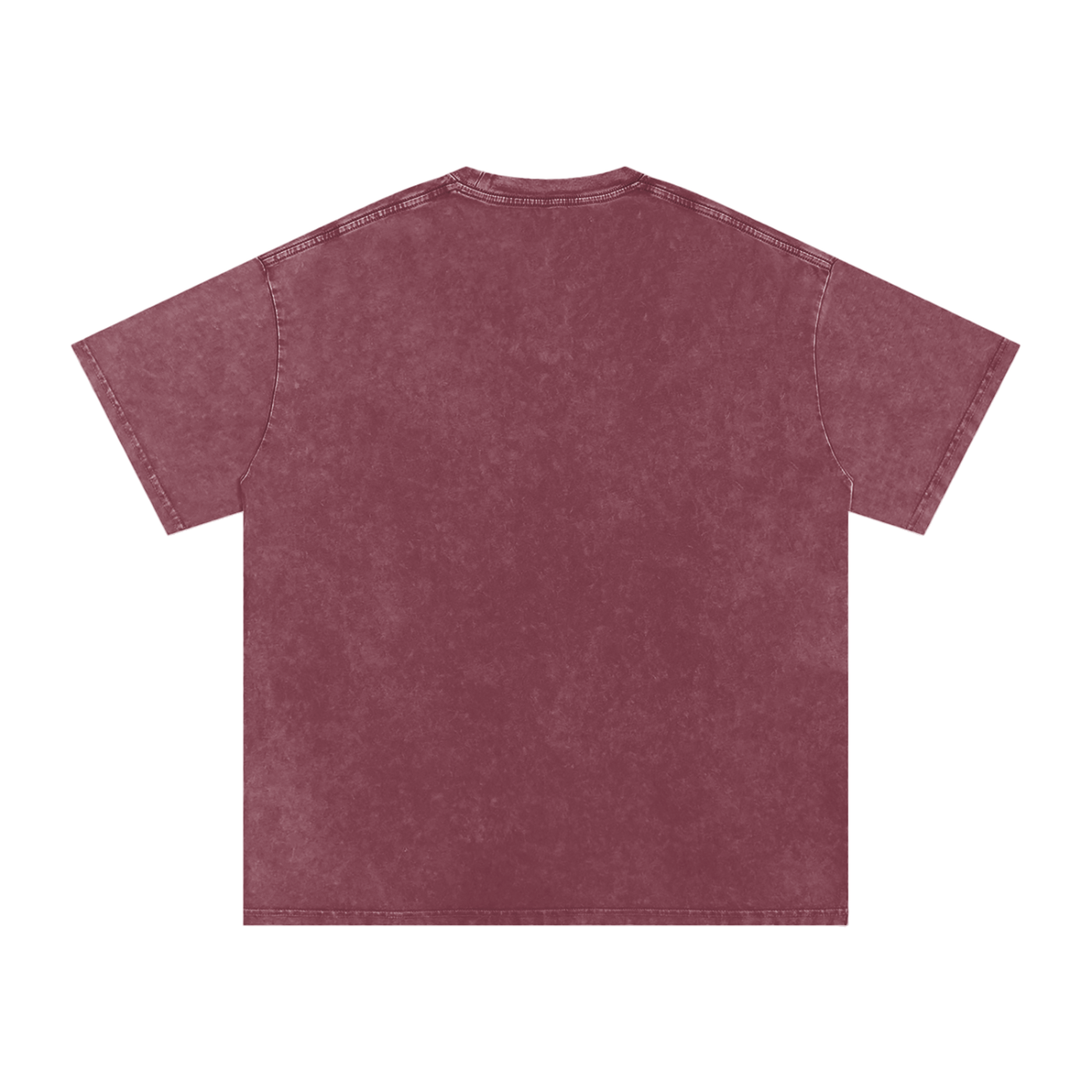 Noles preppy Snow Washed Oversized Cotton T-Shirt