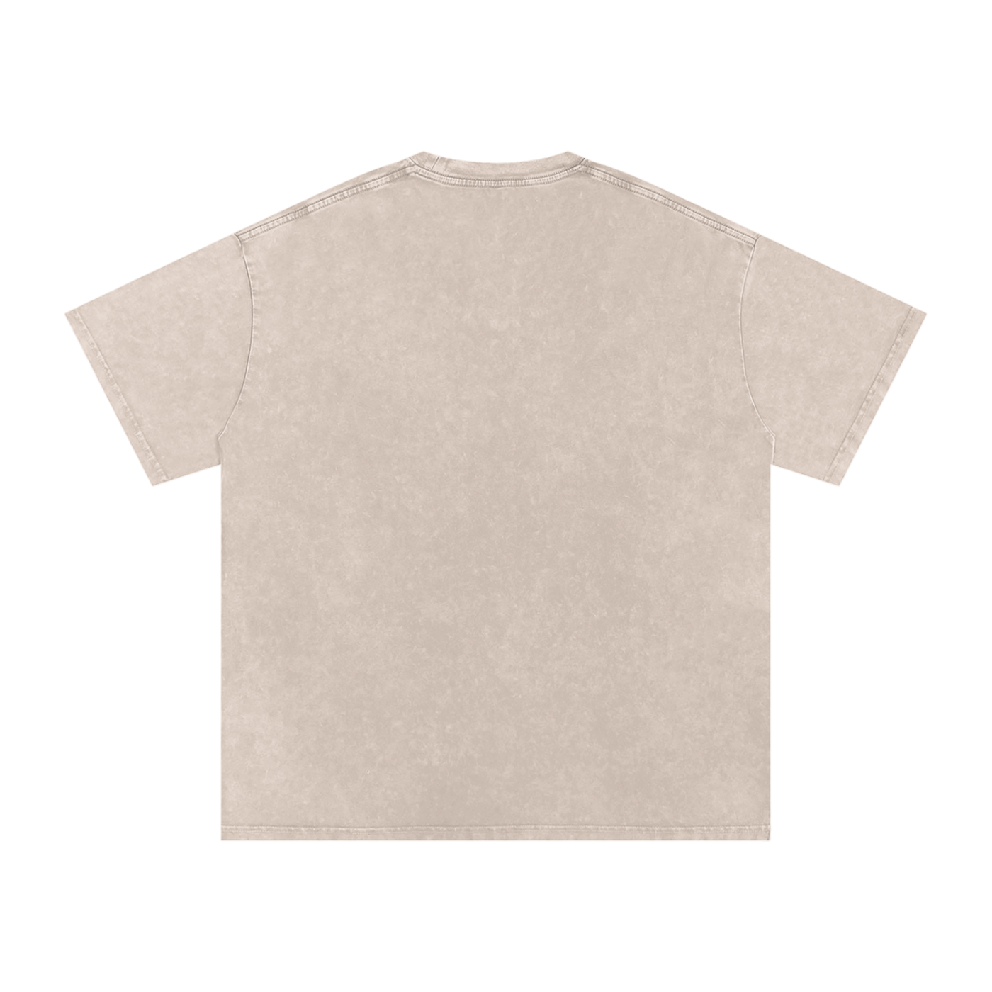 Noles preppy Snow Washed Oversized Cotton T-Shirt