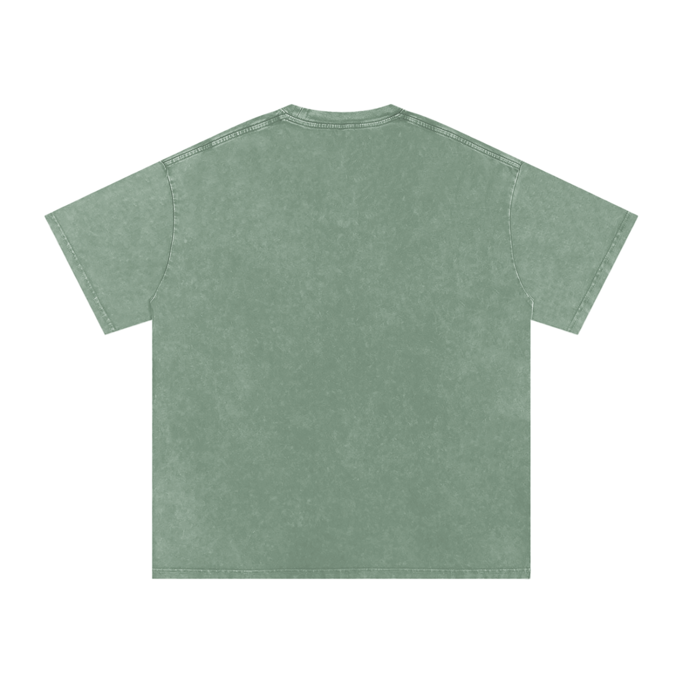 Noles preppy Snow Washed Oversized Cotton T-Shirt