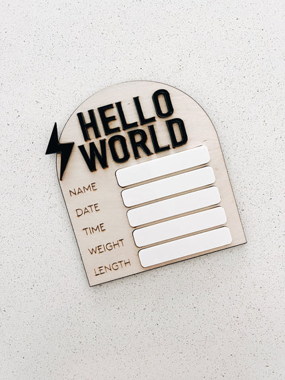 Hello World - Birth Announcement Stats Sign